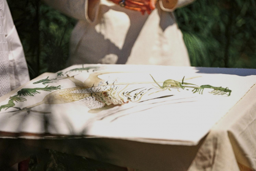 與自然連接，藝術(shù)是共通的語言