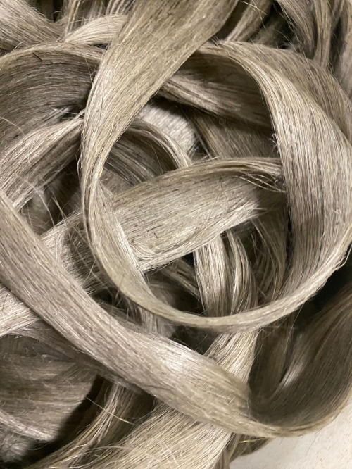 與自然連接，藝術(shù)是共通的語言