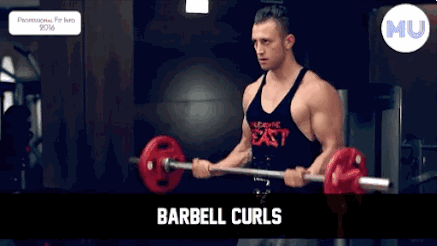 手臂訓練計劃，六個訓練動作，帶你練出麒麟臂，增肌人群必備（手臂訓練計劃六個訓練動作）(7)