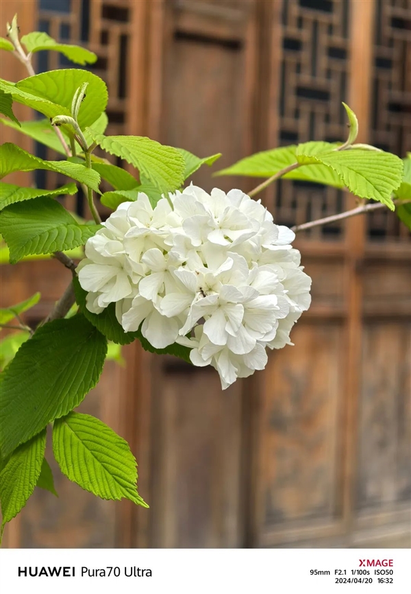 體驗(yàn)了三天華為Pura 70 Ultra 我明白了為啥P系列要改名