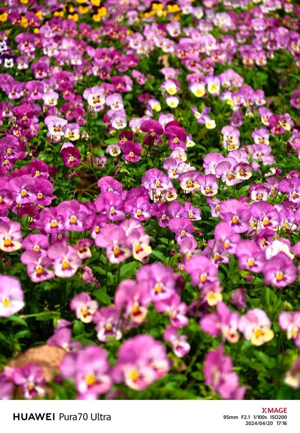 體驗(yàn)了三天華為Pura 70 Ultra 我明白了為啥P系列要改名