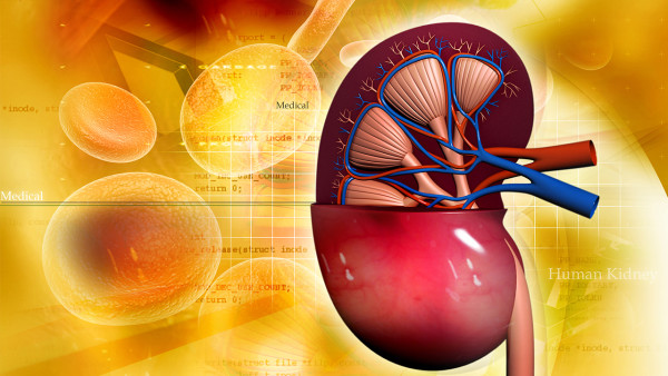 iga型腎炎只有尿潛血