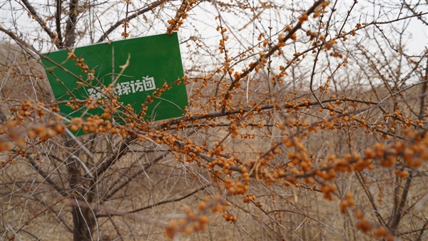 螞蟻森林超9成樹種在“三北”攻堅戰(zhàn)核心區(qū) 再捐1億元支持甘肅治沙