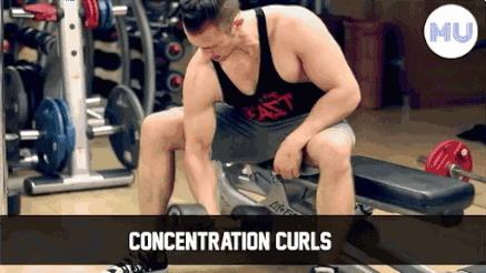 手臂訓練計劃，六個訓練動作，帶你練出麒麟臂，增肌人群必備（手臂訓練計劃六個訓練動作）(10)