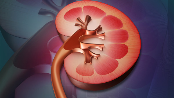 iga腎炎有隱匿性腎炎嗎