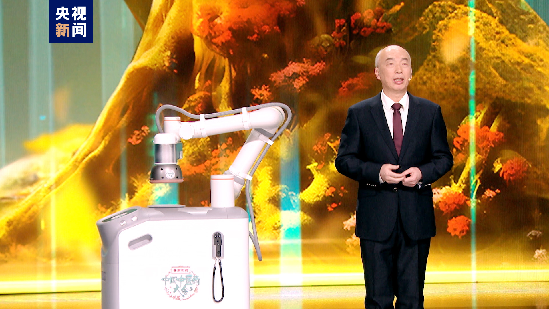 《中國(guó)中醫(yī)藥大會(huì)》：探索中醫(yī)針灸的神奇力量