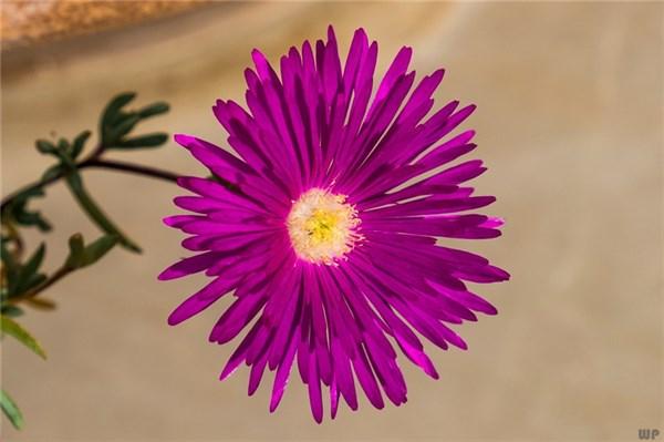 深入人心的人生句子，精致有個(gè)性，總有一句適合你（深入人心的人生句子）(2)