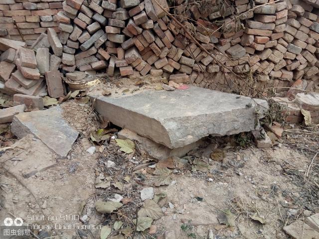 扁鵲歸宿地的悵惘（扁鵲歸宿地的悵惘）(3)