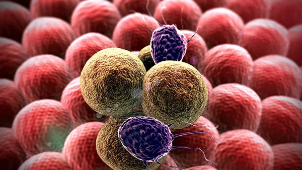 嬰兒皰疹病毒性水皰皮炎