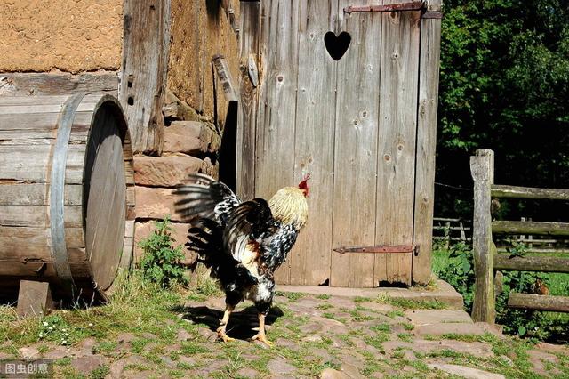 扁鵲歸宿地的悵惘（扁鵲歸宿地的悵惘）(2)