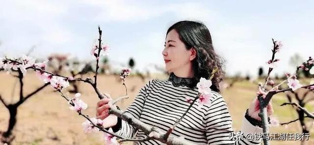 寫意錦官城(寫意錦官城)(5)