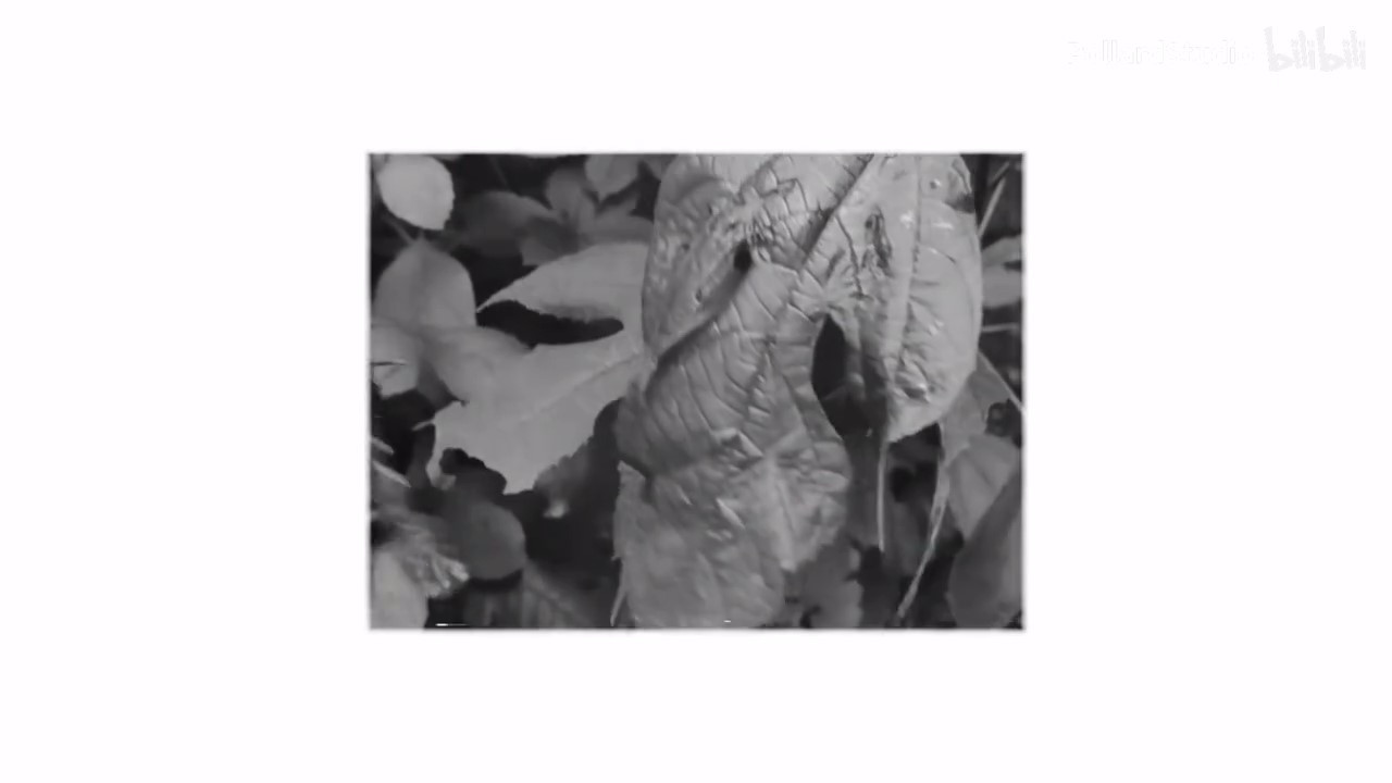 《黑暗世界：因與果》墜入黑暗預告 Wired Productions發(fā)行