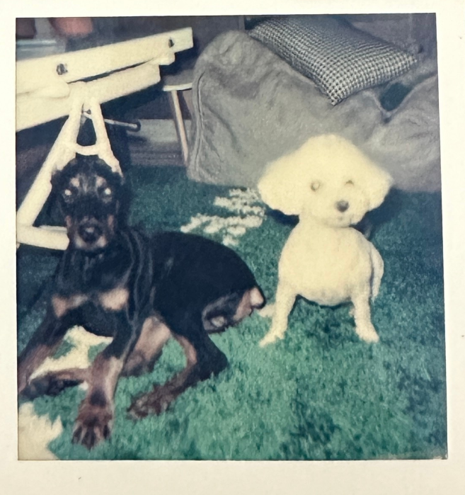 金靖官宣懷孕，孩子父親點贊金靖動態(tài)秀恩愛，更多戀愛細節(jié)曝光 8