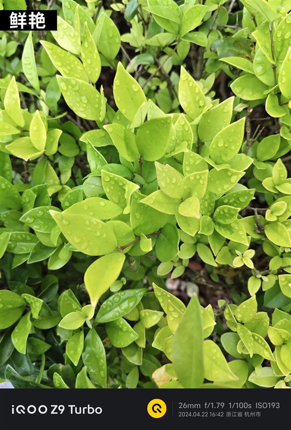 1999元＋6000mAh超大電池！這手機(jī)治好了我的續(xù)航焦慮