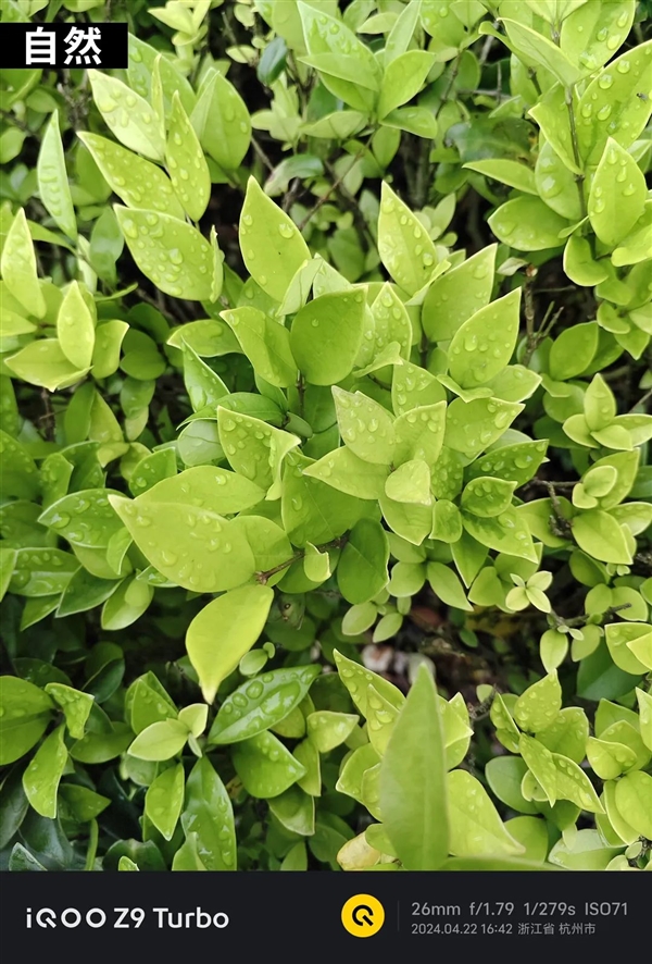 1999元＋6000mAh超大電池！這手機(jī)治好了我的續(xù)航焦慮