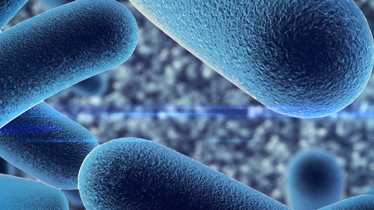 小孩癲癇可以吃益生菌嗎