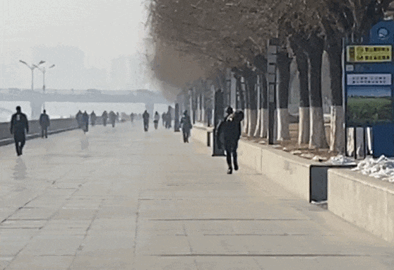 我們找到了冬泳怪鴿 發(fā)現(xiàn)他不是圣人