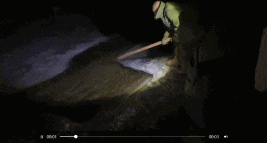 我們找到了冬泳怪鴿 發(fā)現(xiàn)他不是圣人