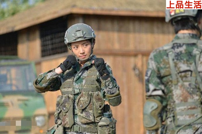 火鳳凰葉寸心結(jié)局