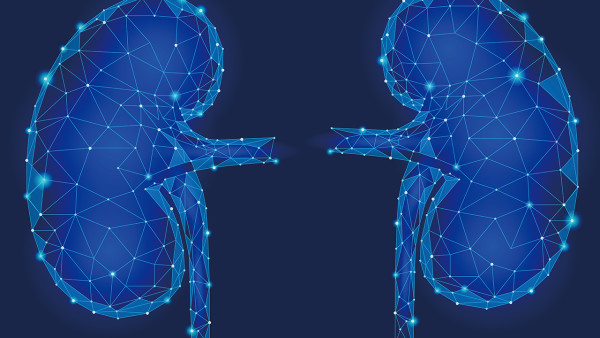 右腎以脂肪為主的錯構(gòu)瘤