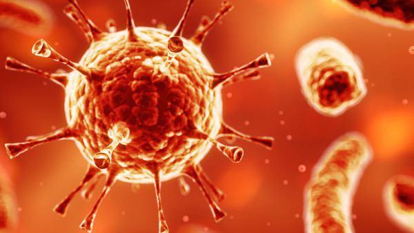 大三陽能生孩子嗎？