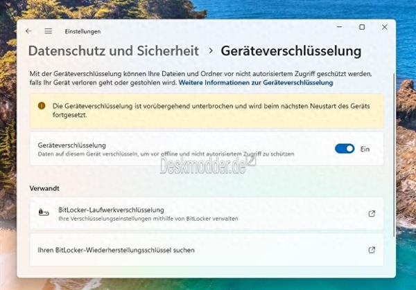 微軟會玩！Windows 11 24H2細(xì)節(jié)曝光：對數(shù)據(jù)默認(rèn)加密、影響SSD性能