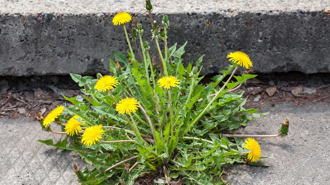 寶寶感冒流鼻涕鼻塞吃什么藥好快