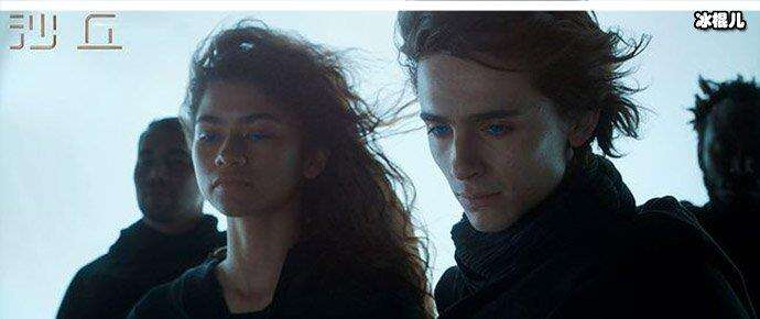 沙丘,甜茶 沙丘,甜茶