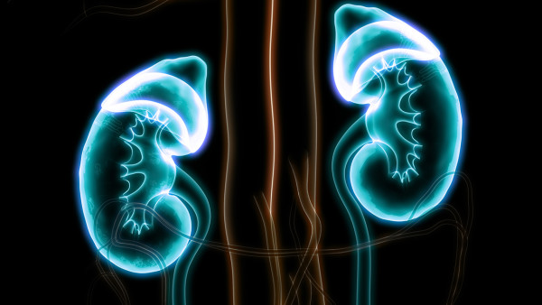 常見的繼發(fā)性高血壓有哪些？