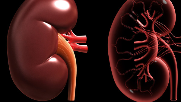 30歲的早泄能治好嗎？