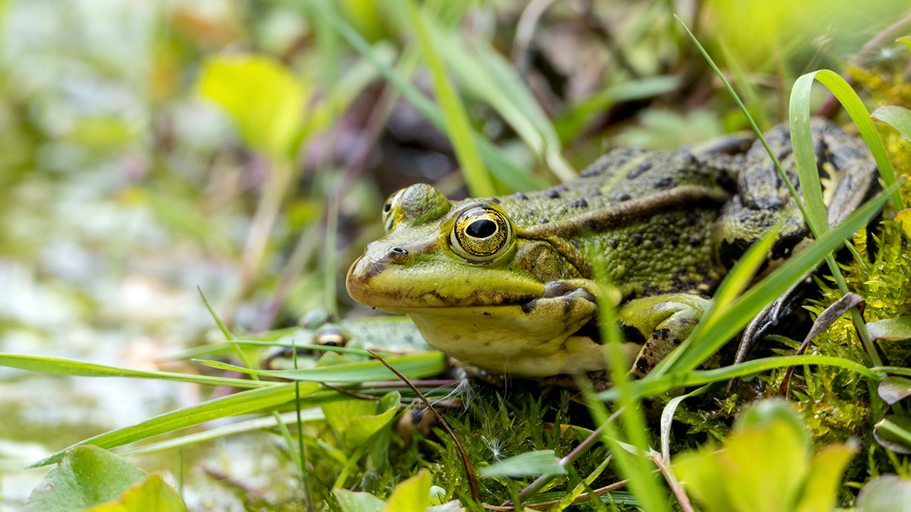 24歲做B超檢查右腎結(jié)石