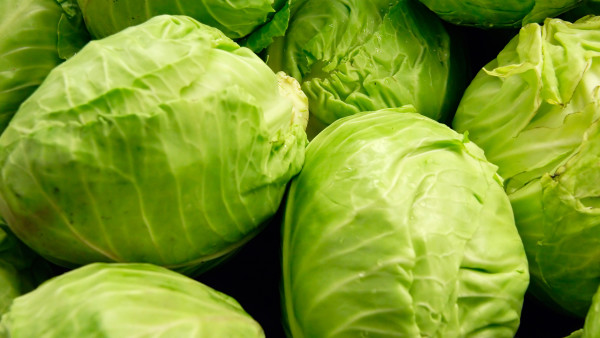 吃什么來治療便秘