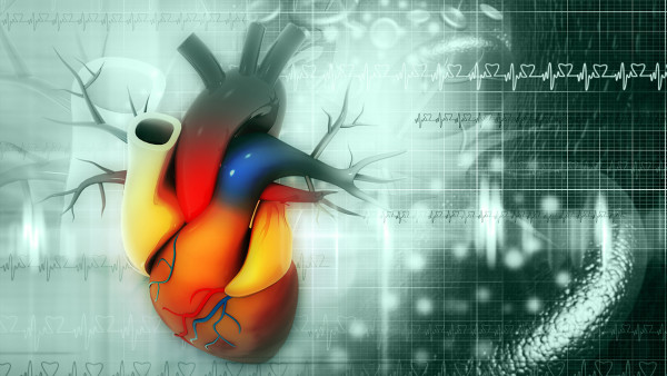 37歲男有房顫怎么辦？