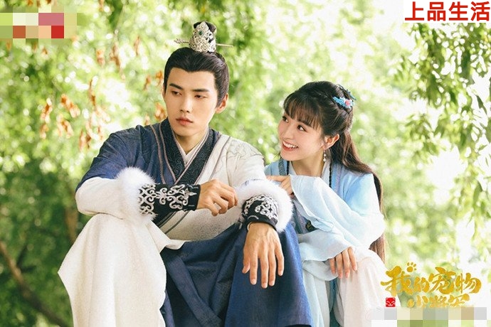 我的寵物少將軍口碑