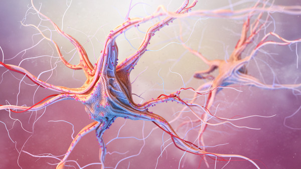 創(chuàng)傷性后遺癥癲癇會(huì)死嗎？