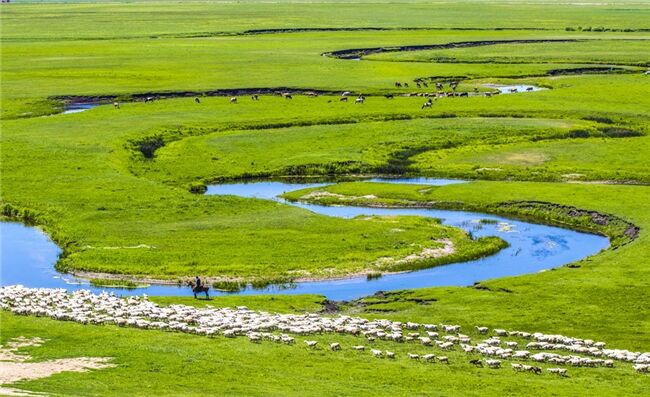 5.19烏蘭圖雅“花開四季”北京演唱會(huì)倒計(jì)時(shí)