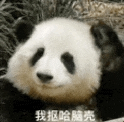 任天堂閃擊GitHub：一夜刪光8000多個模擬器代碼倉庫！