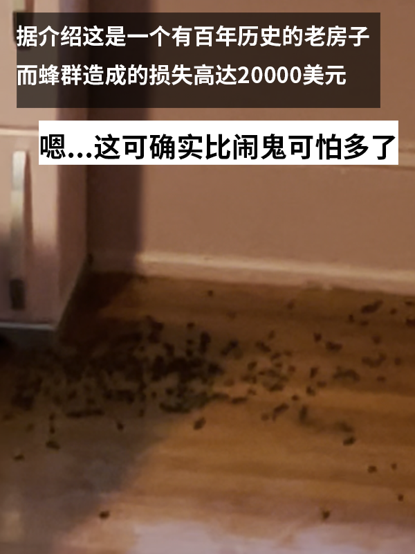 三歲女孩總說(shuō)墻里有鬼：專業(yè)人士來(lái)了也被嚇一跳！