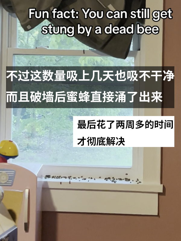 三歲女孩總說(shuō)墻里有鬼：專業(yè)人士來(lái)了也被嚇一跳！