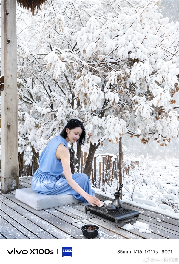 藍(lán)廠強(qiáng)直屏旗艦！vivo X100s首發(fā)四季人像功能