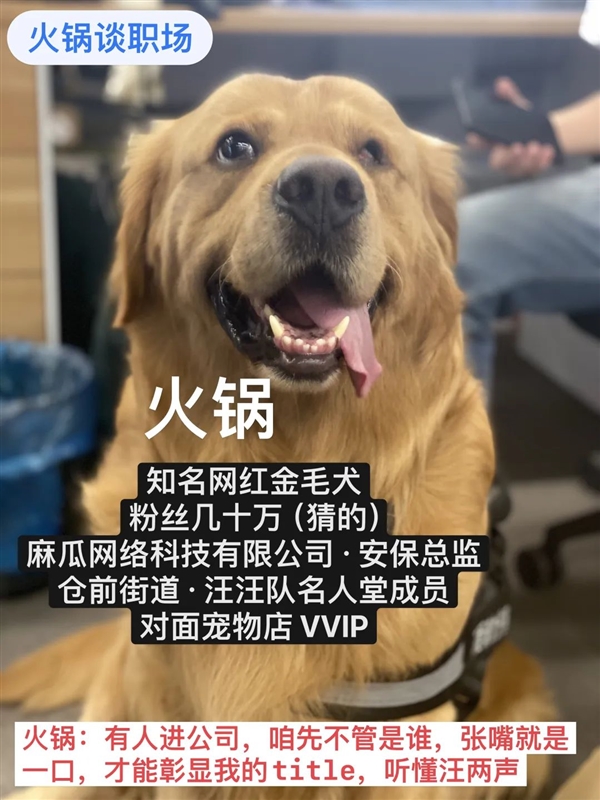 百度副總短視頻背后 其實還有個很深的套路