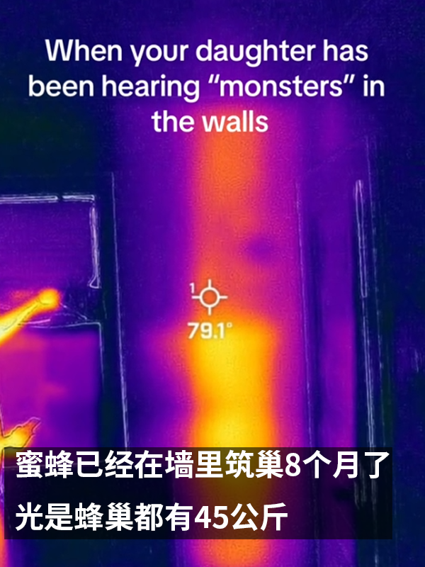 三歲女孩總說(shuō)墻里有鬼：專業(yè)人士來(lái)了也被嚇一跳！