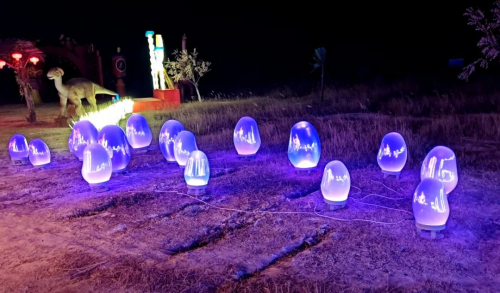 “燈火闌珊處·萬年水洞溝”寧夏夜游新品牌隆重登場！