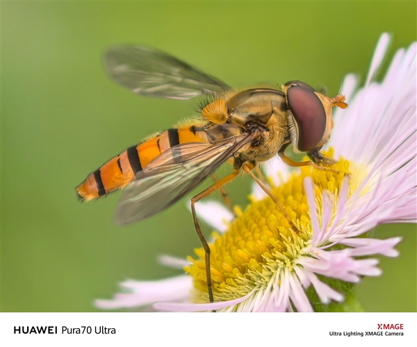手機(jī)能當(dāng)顯微鏡用！余承東稱華為Pura 70 Ultra將望遠(yuǎn)鏡、顯微鏡合二為一
