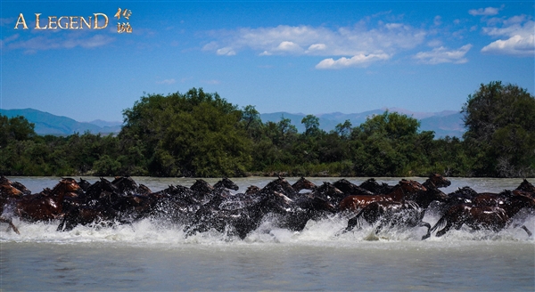 成龍、娜扎等主演！《神話》續(xù)集電影《傳說(shuō)》定檔：7月12日上映
