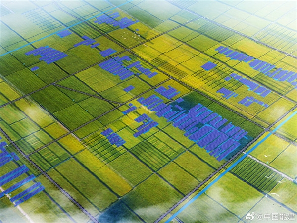 養(yǎng)魚發(fā)電兩不誤！上海崇明100兆瓦漁光互補(bǔ)項(xiàng)目開工