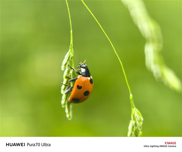 手機(jī)能當(dāng)顯微鏡用！余承東稱華為Pura 70 Ultra將望遠(yuǎn)鏡、顯微鏡合二為一