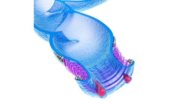 2型糖尿病性高滲性昏迷需要做哪些化驗檢查