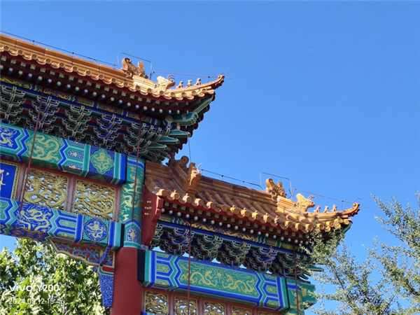 vivo Y200上手：6000mAh大電池帶來(lái)好的續(xù)航安全感