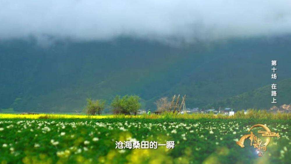 《2024中國詩詞大會》圓滿收官 我們一直“在路上”